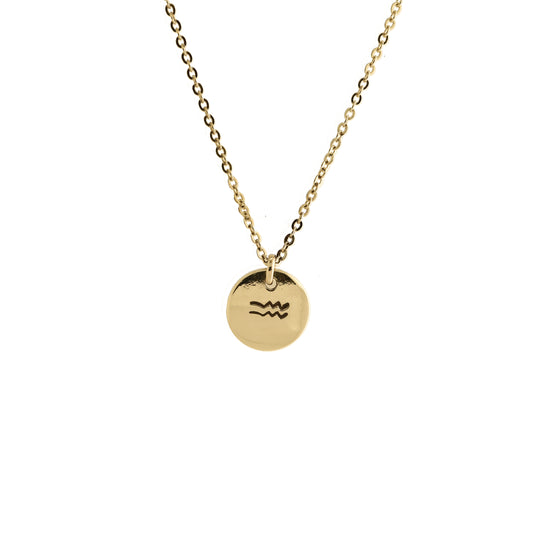 AQUARIUS CHARM