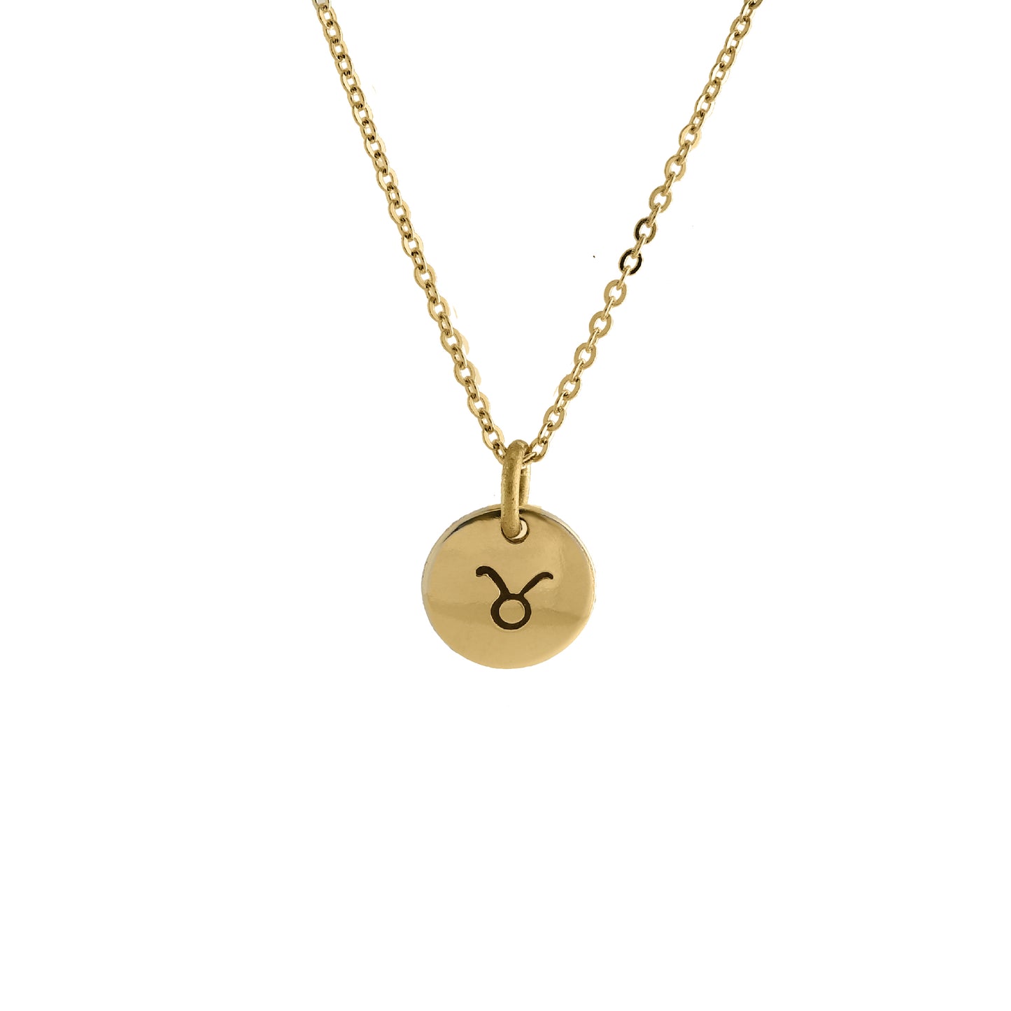 TAURUS CHARM NECKLACE