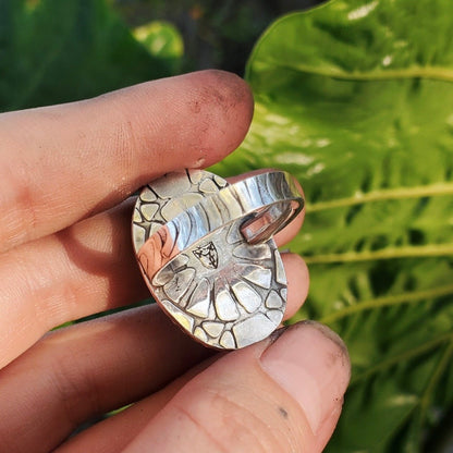 Labradorite - Size 8