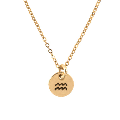Tiny Zodiac: Aquarius