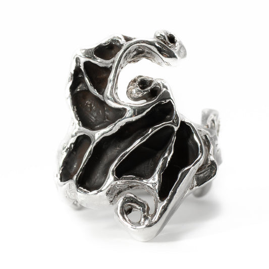 Front view of Dark Crystal Ring in solid sterling silver, mystical handmade jewelry from Austin, Texas