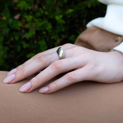 LARGE DOME IN SILVER